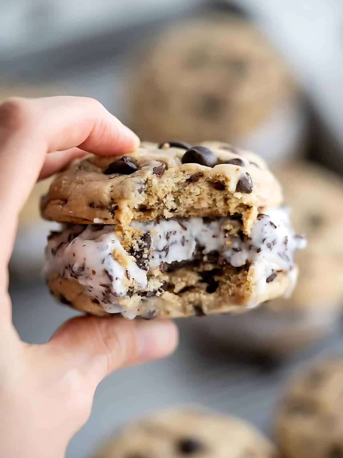 A person holding an Ice Cream Cookie Sandwich.