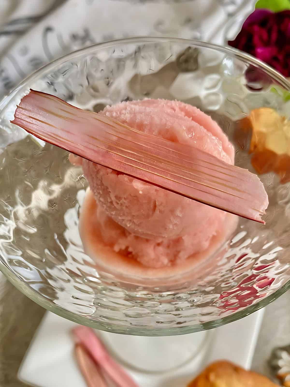 Rhubarb rose sorbet in a glass.