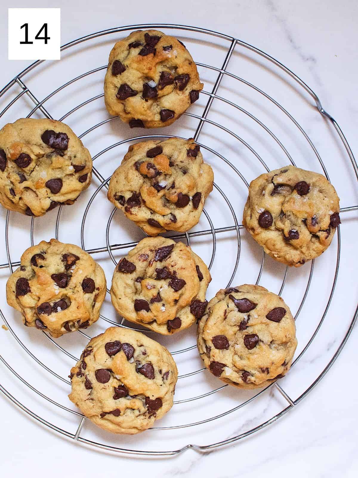 Freshly baked maple syrup cookies resting on a circular tray,