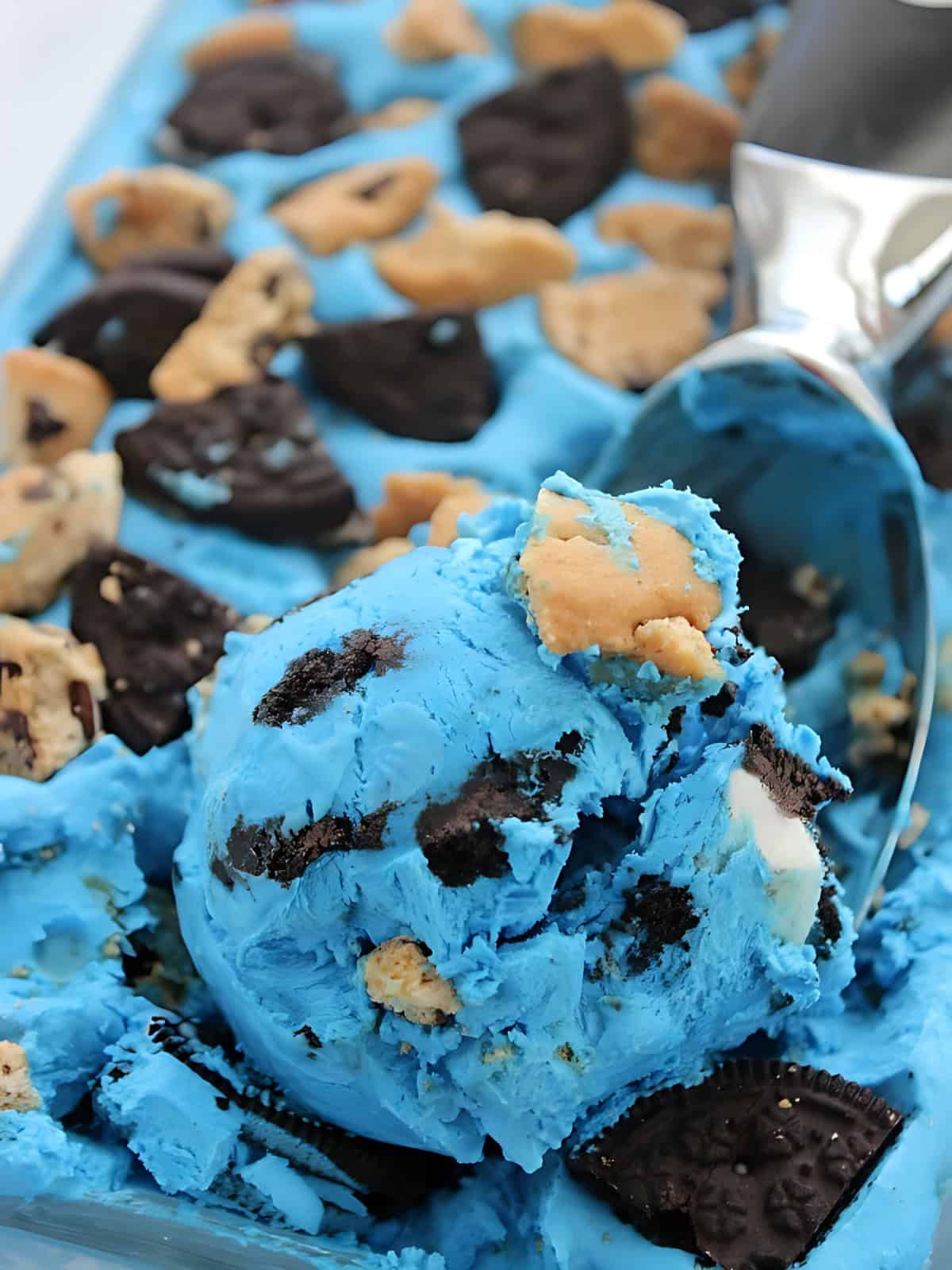 No chum cookie monster ice cream with crushed Oreos and chocolate chip cookies.