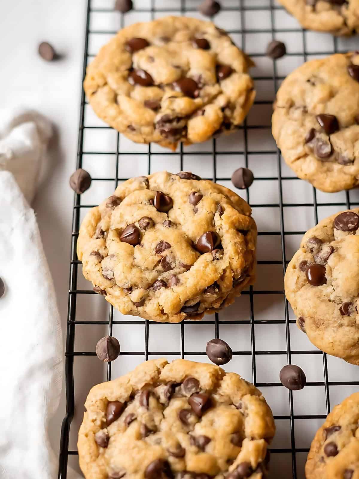 Chocolate chip cookies resting on a tray.