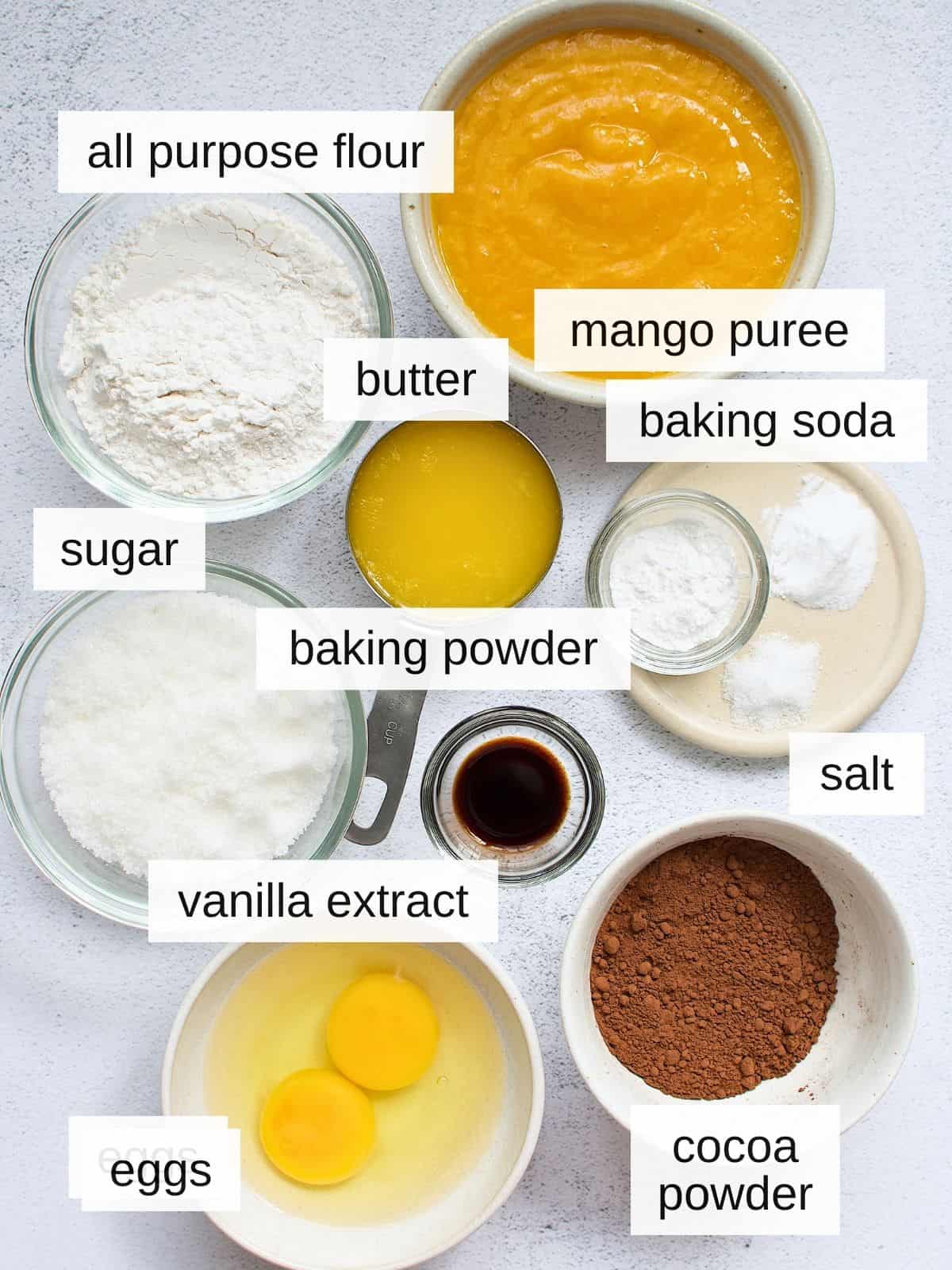 Chocolate mango cake ingredients with all purpose flour, mango puree, butter, baking soda, baking powder, salt, sugar, vanilla extract, eggs, and cocoa powder.