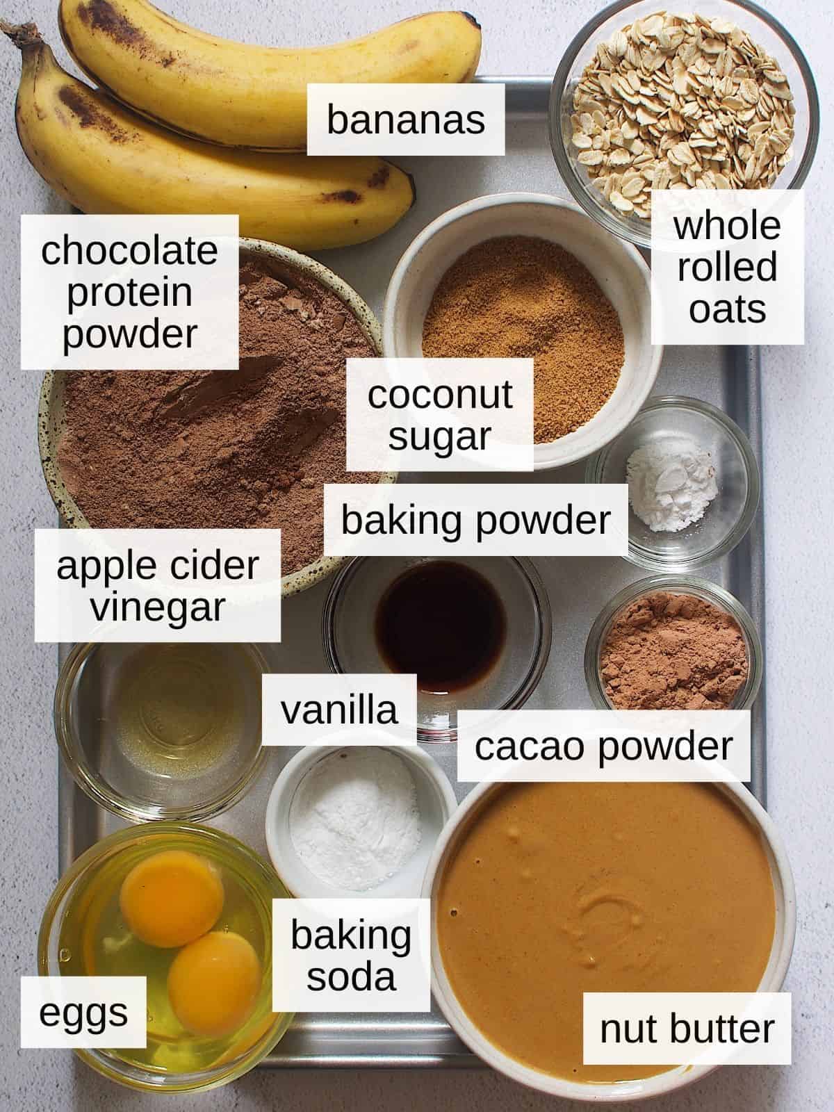 Banana chocolate protein muffins recipe ingredients including bananas, whole rolled oats, cocoa sugar, chocolate protein powder, baking powder, apple cider vinegar, vanilla, cacao powder, eggs, baking soda, and nut butter.